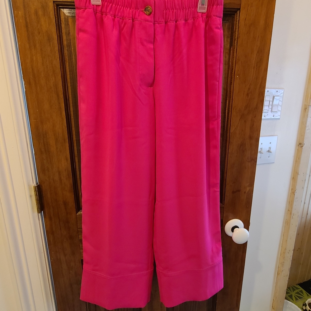 J Crew pants